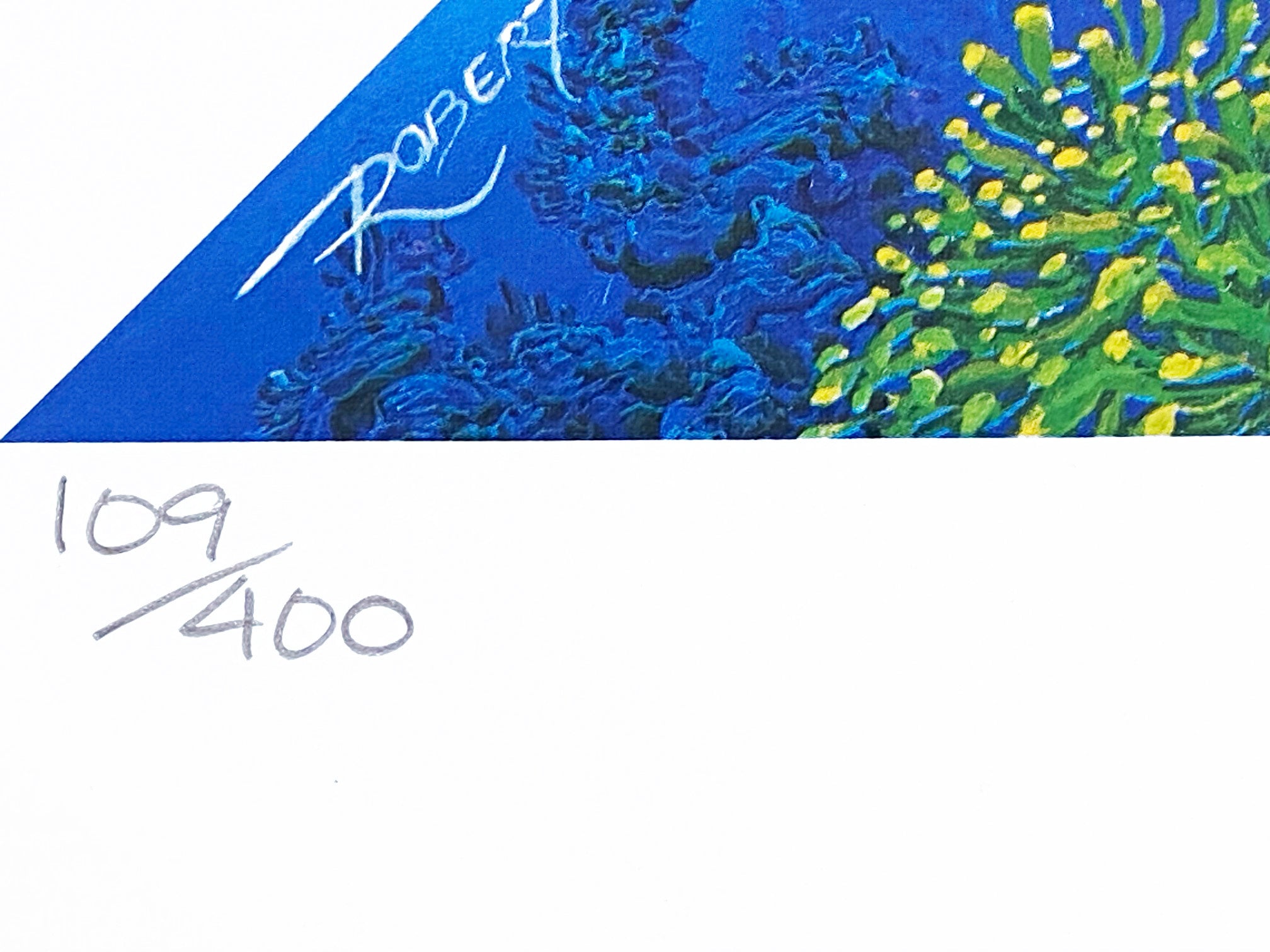 Diamonds of the Sea Robert Lyn Nelson Mixed Media Print Hand Signed and Numbered