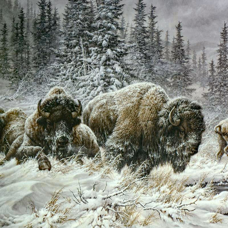Front Range Storm Larry Fanning Artist Proof Lithograph Print on Paper Artist Hand Signed and AP Numbered