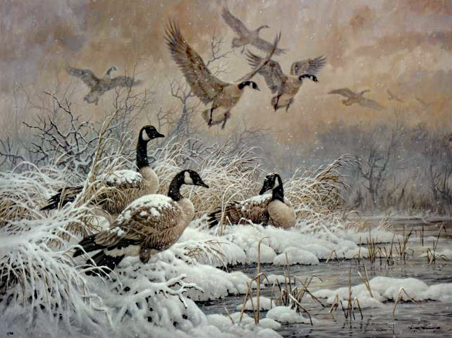 Winter Retreat Canada Geese Larry Fanning Artist Proof Lithograph on Paper Artist Hand Signed and AP Numbered