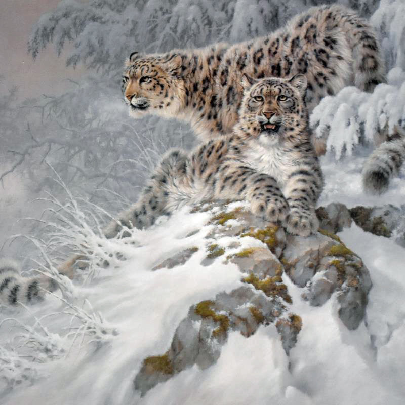 Himalayan Royalty Larry Fanning Lithograph on Paper Artist Hand Signed and Numbered