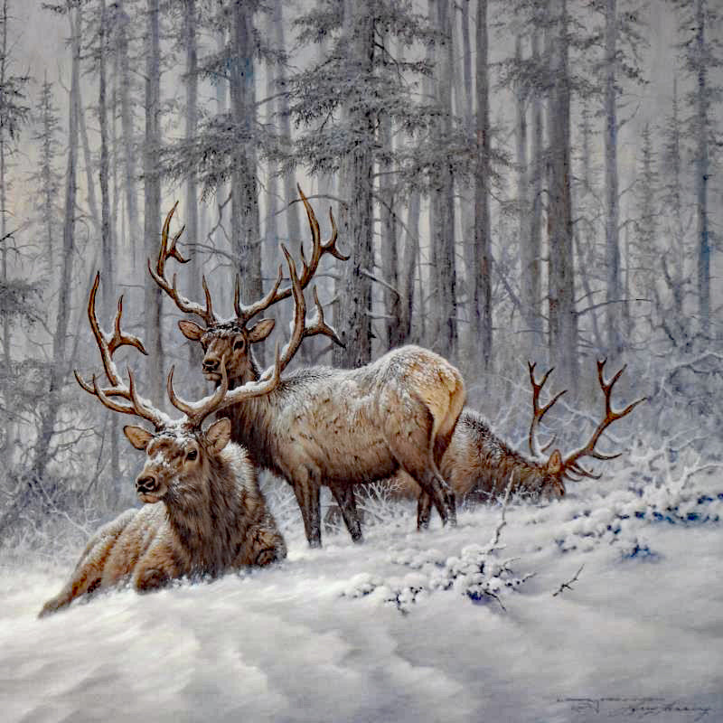 Mountain Majesty Larry Fanning Artist Proof Lithograph Print on Paper Artist Hand Signed and AP Numbered