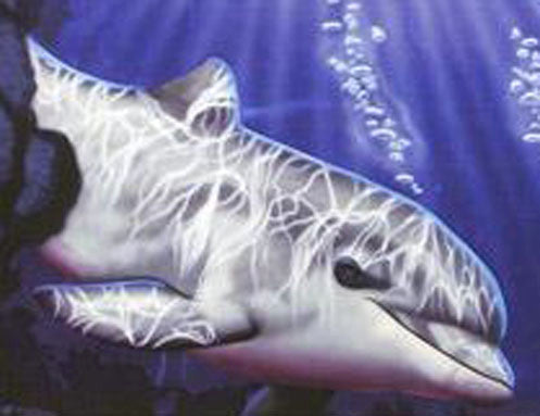 A New Beginning Mark Remling Toujour Unique Artist Hand Signed and Numbered