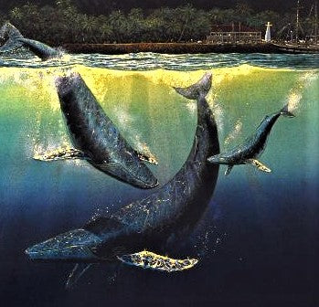 Two Worlds Robert Lyn Nelson Mixed Media Print Artist Hand Signed and Numbered