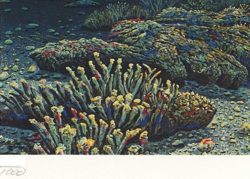 Two Worlds Robert Lyn Nelson Mixed Media Print Artist Hand Signed and Numbered