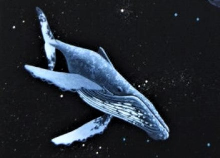 Sands of Time William Schimmel Serigraph Print Artist Hand Signed and Numbered