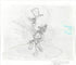 Daffy Duck Tom Ray Original Pencil Layout Drawing Brenda Ray Hand Signed