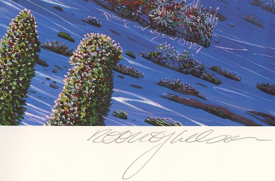 The Turtle and the Butterfly Robert Lyn Nelson Mixed Media Print Artist Hand Signed and Numbered