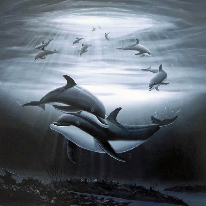 Dolphin Affection Wyland Lithograph Print Artist Hand Signed and Numbered