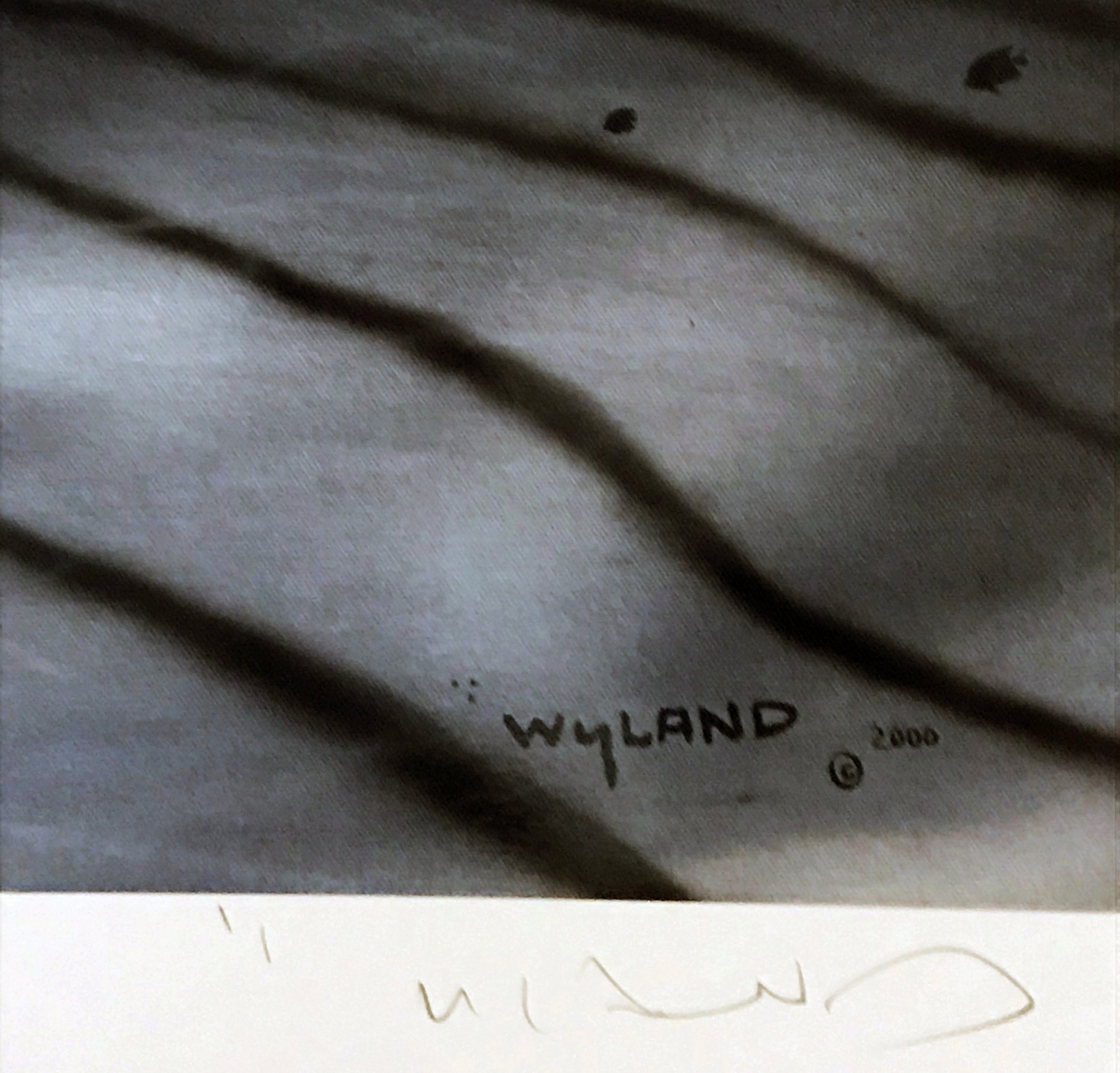 Dolphin Affection Wyland Lithograph Print Artist Hand Signed and Numbered
