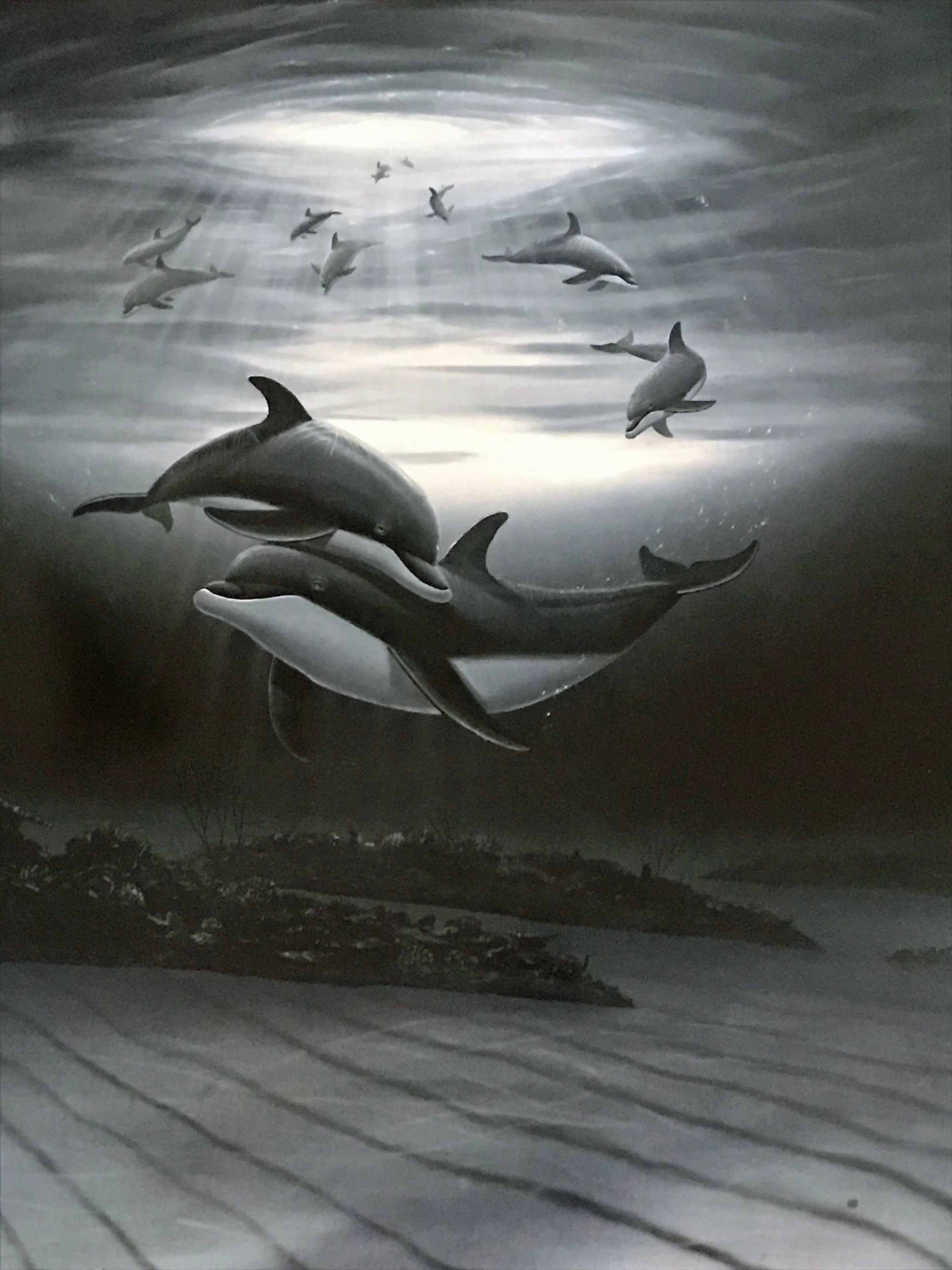 Dolphin Affection Wyland Lithograph Print Artist Hand Signed and Numbered