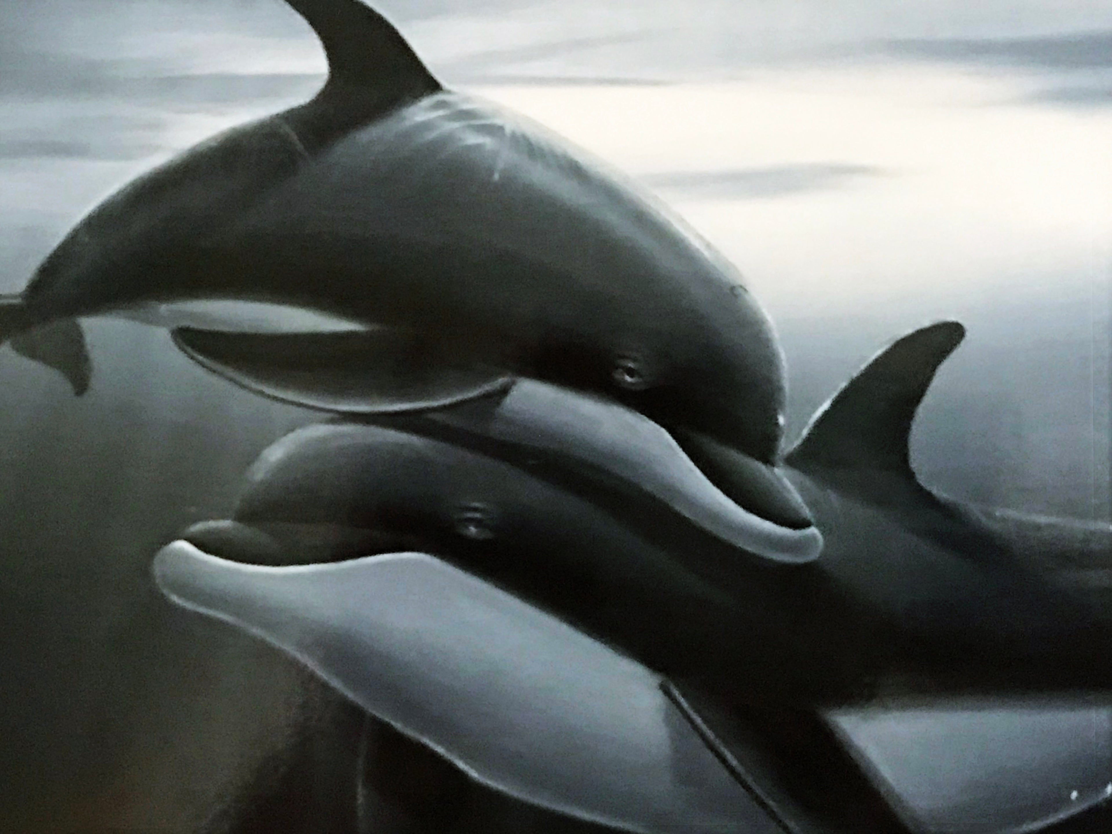 Dolphin Affection Wyland Lithograph Print Artist Hand Signed and Numbered