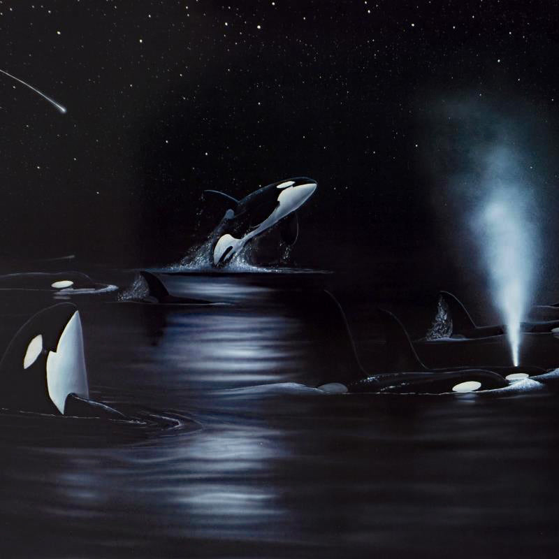 Orcas Starry Night Wyland Lithograph Print Artist Hand Signed and Numbered