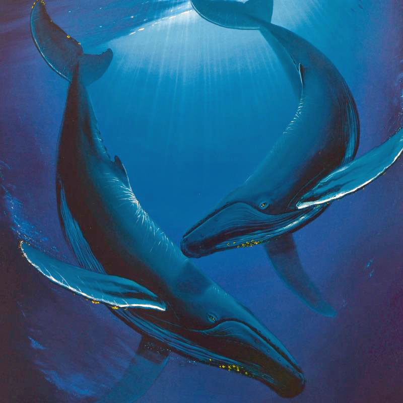 Song of the Deep Wyland Lithograph Print Artist Hand Signed and Numbered