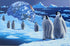 Antarcticas Children William Schimmel Serigraph Print Artist Hand Signed and Numbered