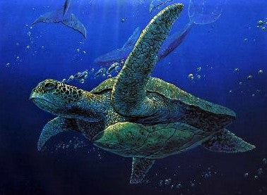 The Welcome Light Robert Lyn Nelson Mixed Media Print Artist Hand Signed and Numbered