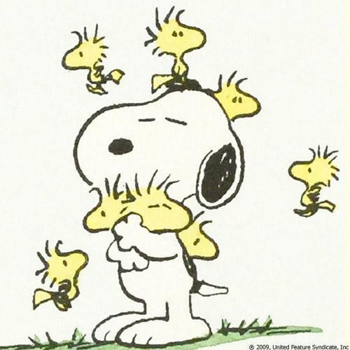 Snoopy and Woodstock Peanuts Hand Tinted Color Etching Numbered