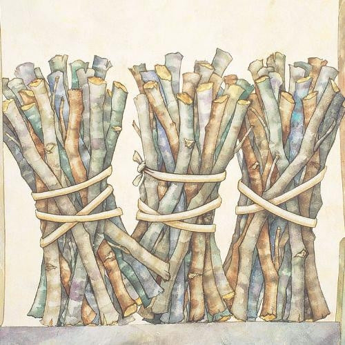 Twigs I Yuriko Takata Giclée Print Artist Hand Signed and Numbered