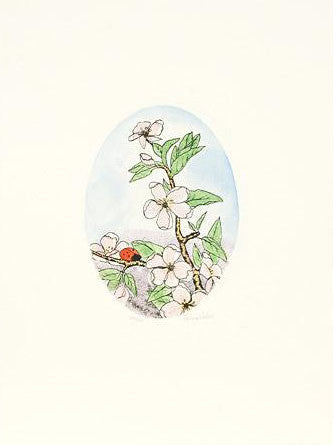 Untitled Flower Etchings Set Anna Weber Artist Hand Signed and Numbered