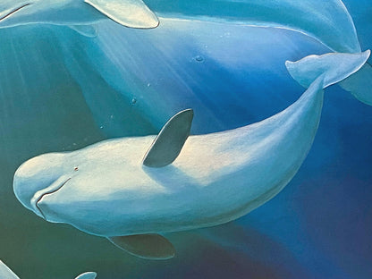 Belugas: The White Whales Wyland and James Coleman Lithograph Print Hand Signed by both Artists and Numbered