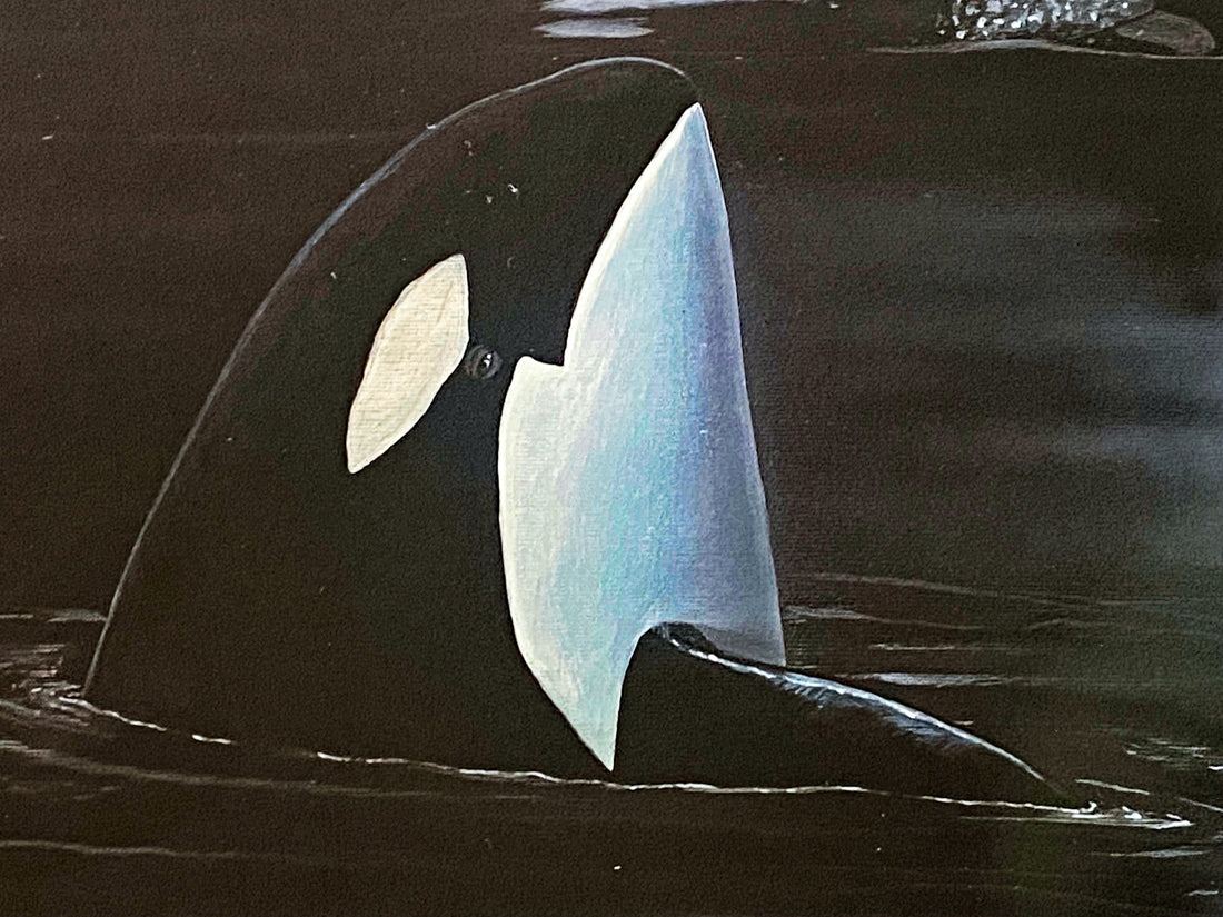 Orcas Starry Night Wyland Lithograph Print Artist Hand Signed and Numbered