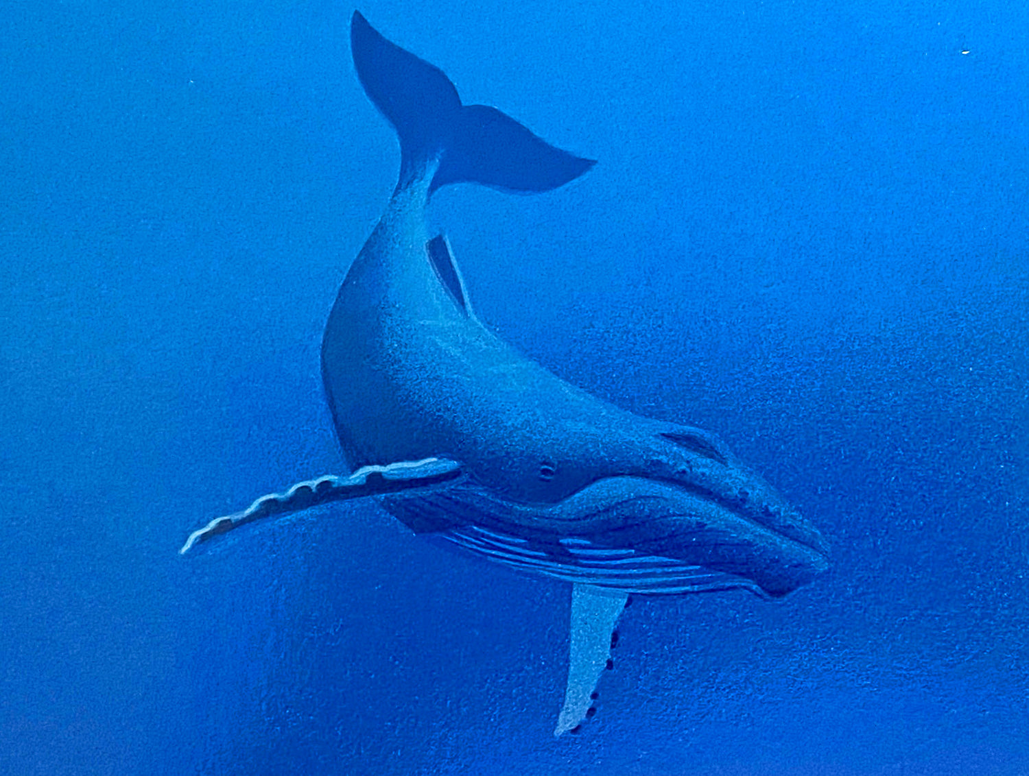Dance of the Humpback William Schimmel Artist Proof Serigraph Print Artist Hand Signed and AP Numbered