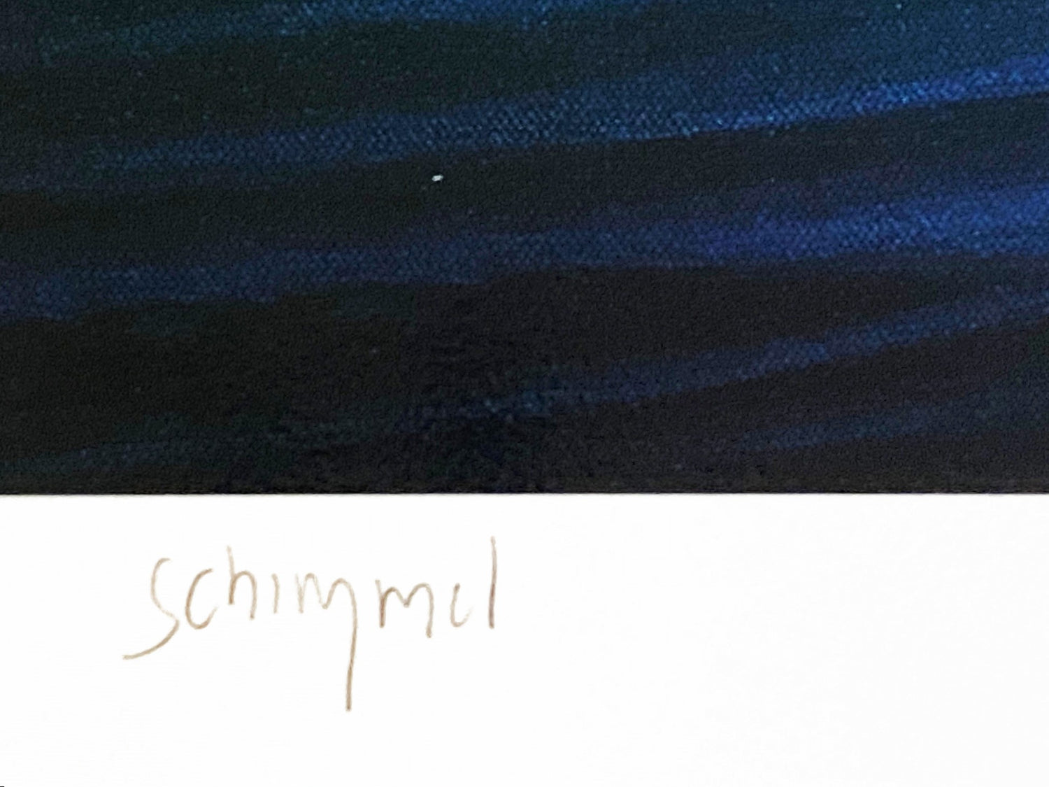 Antarcticas Children William Schimmel Serigraph Print Artist Hand Signed and Numbered