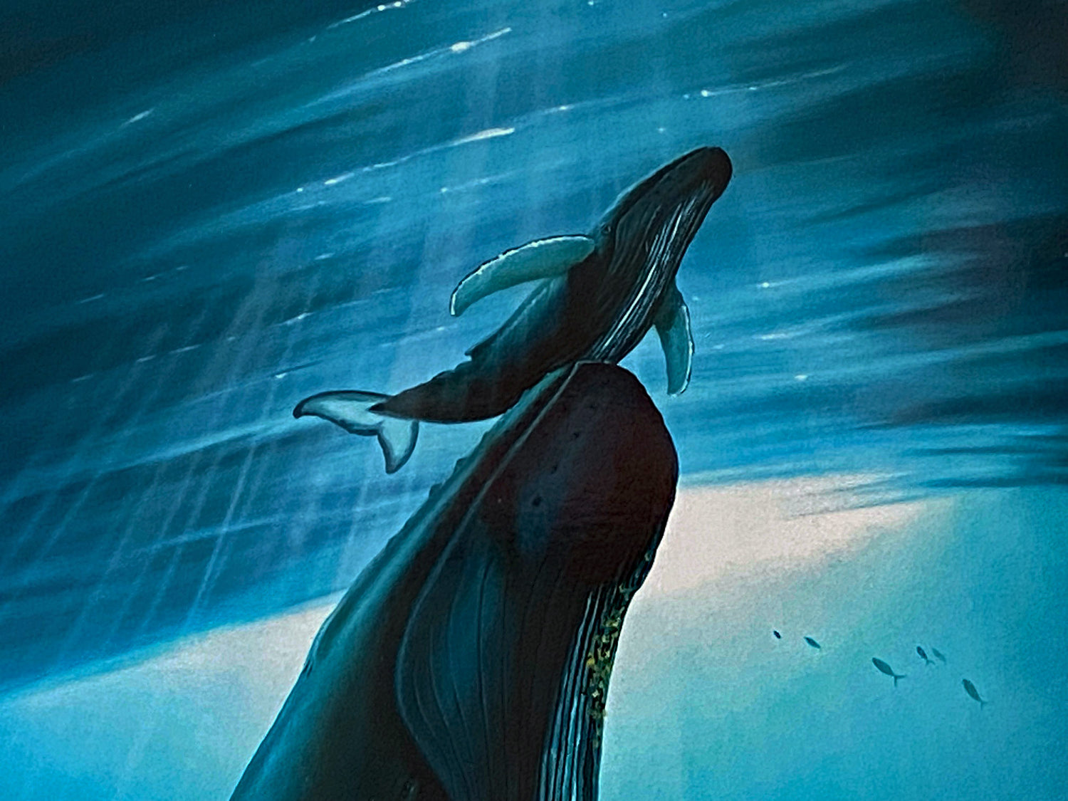 The First Breath Wyland Lithograph Print Artist Hand Signed and Numbered
