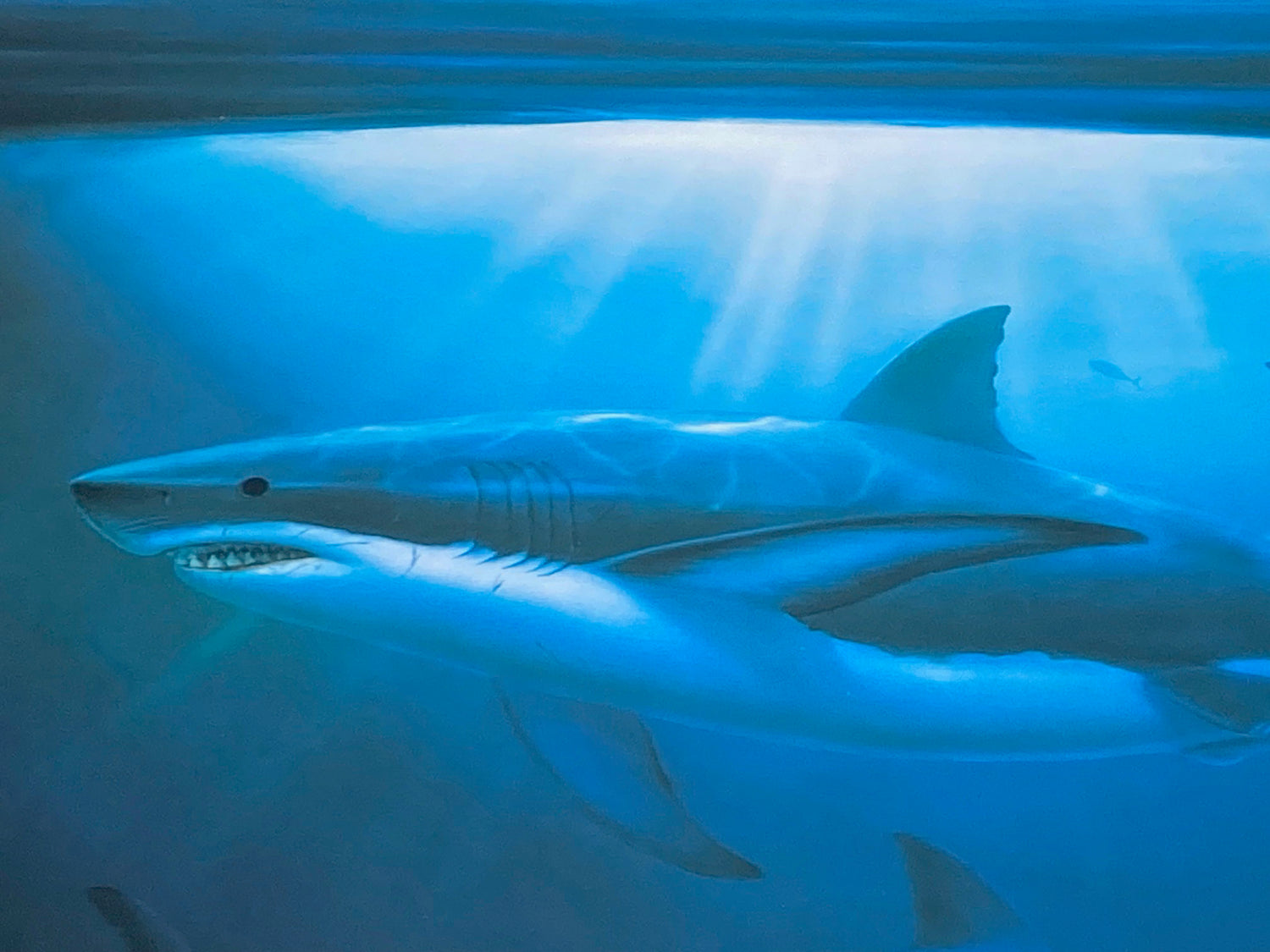 Great White Sharks Wyland Lithograph Artist Hand Signed and Numbered