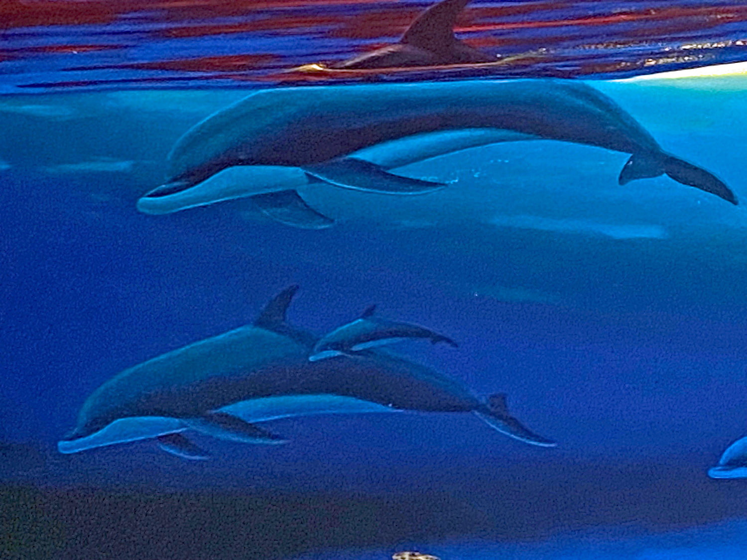 Sea Life Below Wyland and Guy Harvey Lithograph Print Artist Hand Signed and Numbered