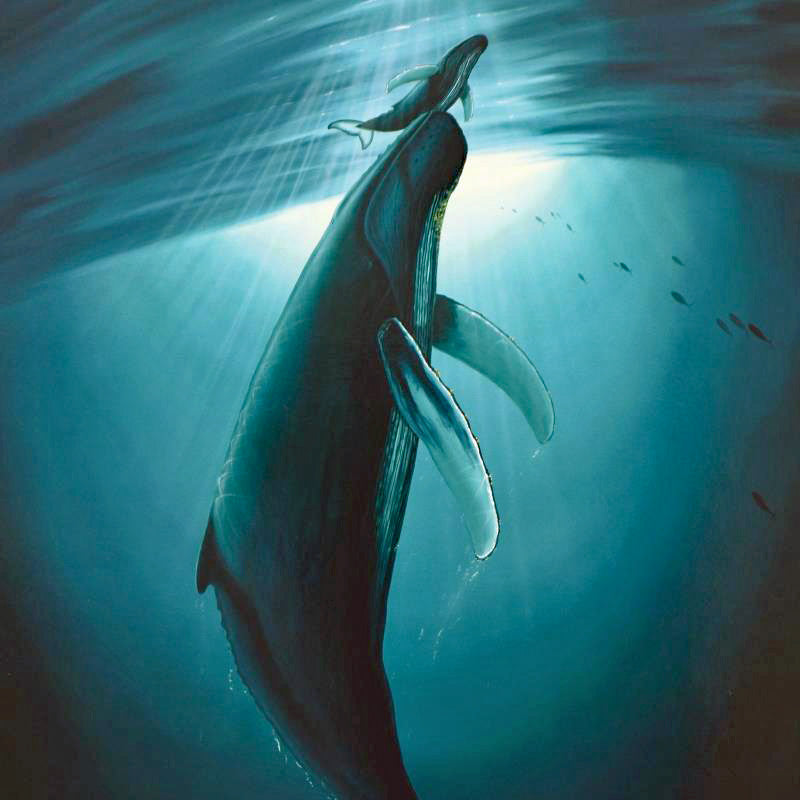 The First Breath Wyland Lithograph Print Artist Hand Signed and Numbered