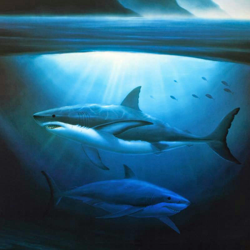 Great White Sharks Wyland Lithograph Artist Hand Signed and Numbered