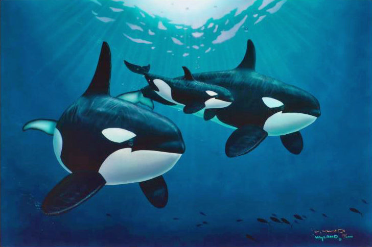 Orca Calling Wyland Artist Proof Cibachrome on Board Artist Hand Embellished, Hand Signed and AP Numbered