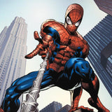 Amazing Spider Man 520 Marvel Comics Artist Mike Deodato Canvas Giclée Print Numbered