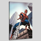 Amazing Spider Man 520 Marvel Comics Artist Mike Deodato Canvas Giclée Print Numbered