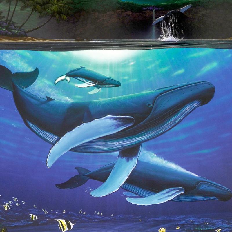 Dawn of Creation Wyland Lithograph Print Artist Hand Signed and Numbered