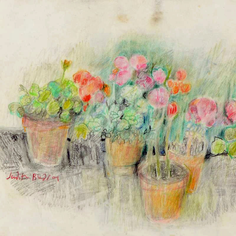 Flowerpots Judith Bledsoe Color Pencil Sketch Artist Hand Signed Framed