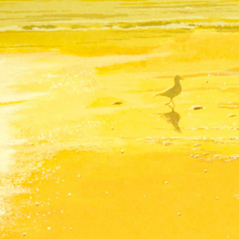 The Seagull Harry Schaare Serigraph Print Artist Hand Signed and Numbered