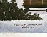 Evergreens of Lancaster County Jane Wooster Scott Lithograph Print Artist Hand Signed and Numbered