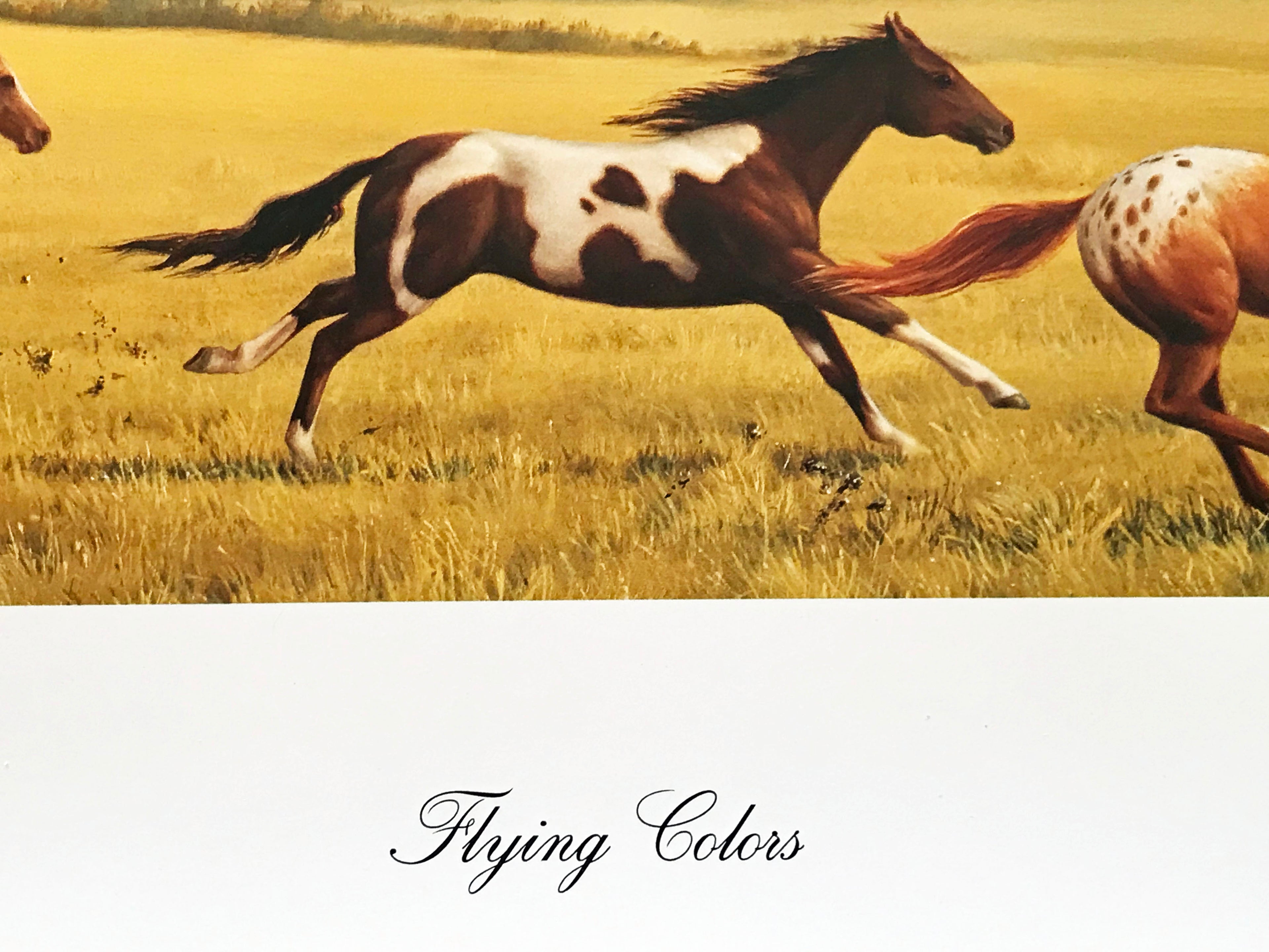 Flying Colors Robert Peters Lithograph Print Artist Hand Signed and Numbered