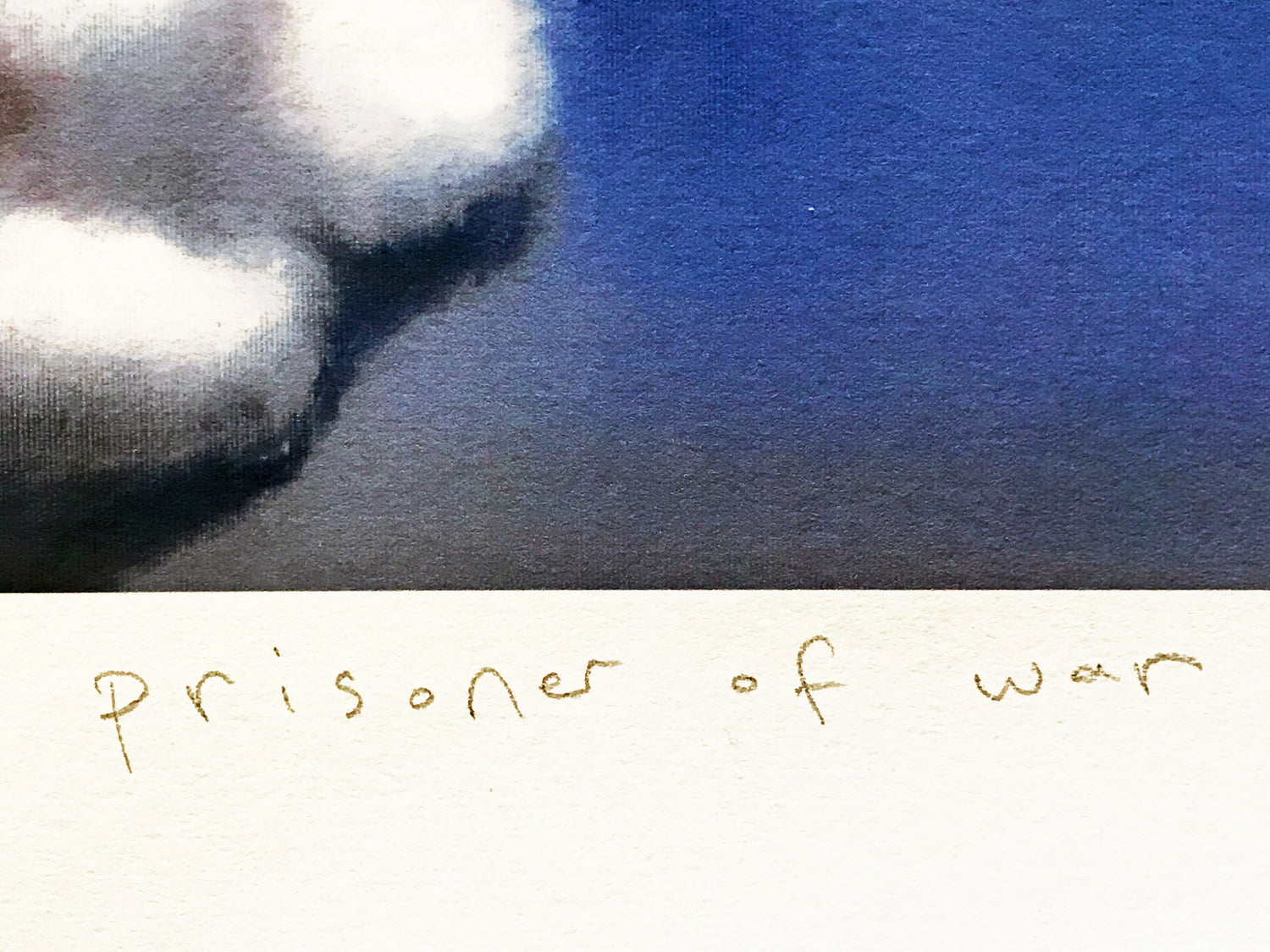 Prisoner of War Sarah Jane Szikora Giclée Print Artist Hand Signed and Numbered