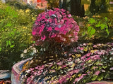 Blissful Burgundy Howard Behrens Canvas Giclée Numbered with Artist Authorized Signature