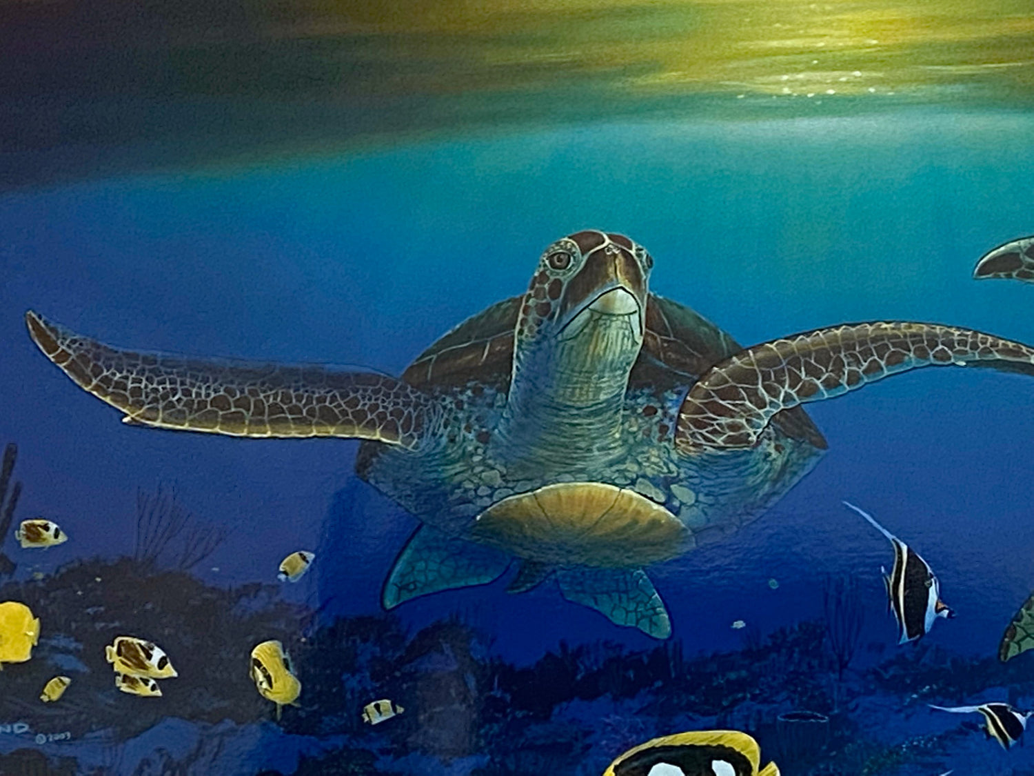 Sea Turtle Reef Wyland Lithograph Print Artist Hand Signed Numbered and Framed