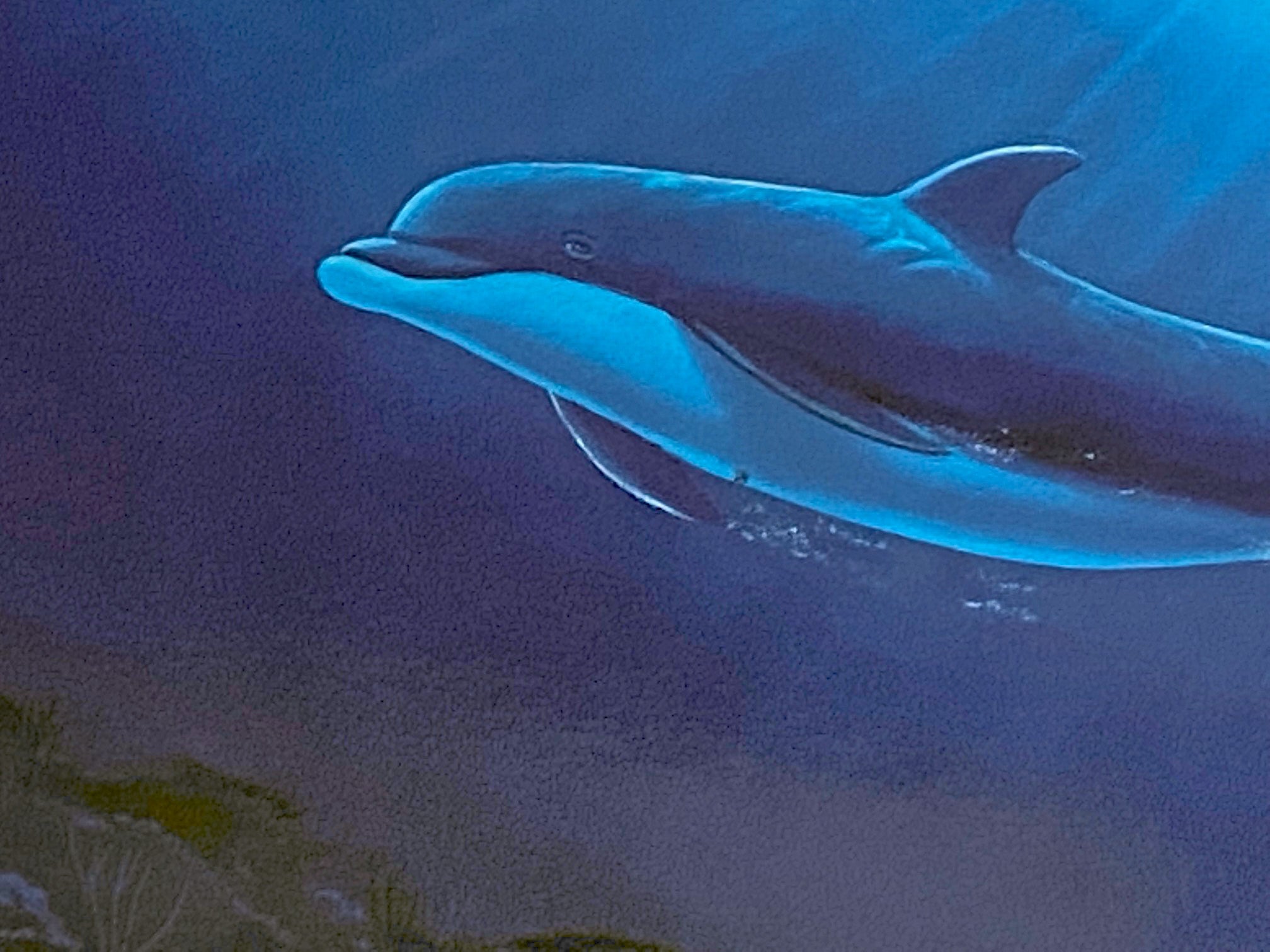 In the Company of Dolphins Wyland Artist Proof Mixed Media Artist Hand Signed and AP Numbered