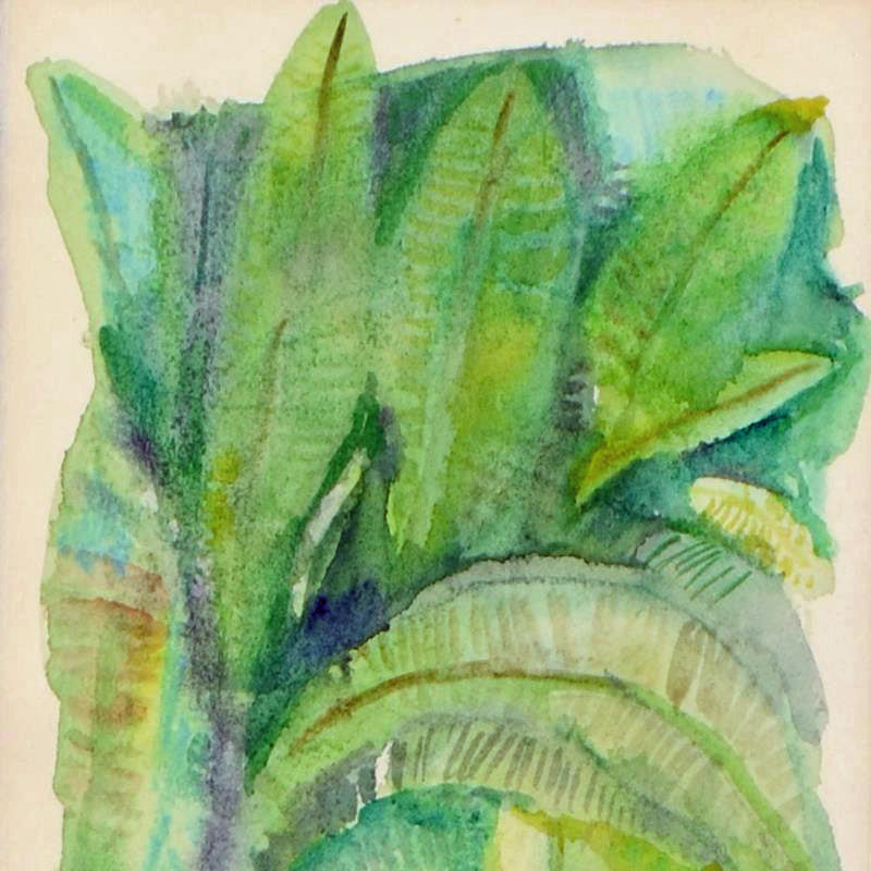 Banana Trees Judith Bledsoe Pastel Painting Artist Hand Signed Framed