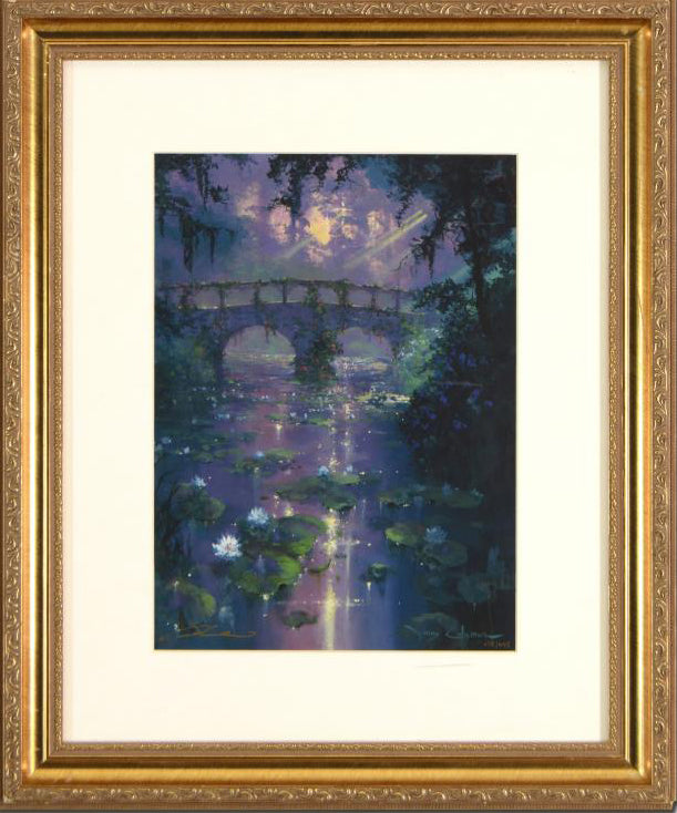 Silence of Light James Coleman Lithograph Print Artist Hand Signed Numbered and Framed