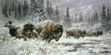 Front Range Storm Larry Fanning Artist Proof Lithograph Print on Paper Artist Hand Signed and AP Numbered