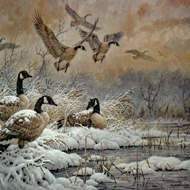 Winter Retreat Canada Geese Larry Fanning Artist Proof Lithograph on Paper Artist Hand Signed and AP Numbered