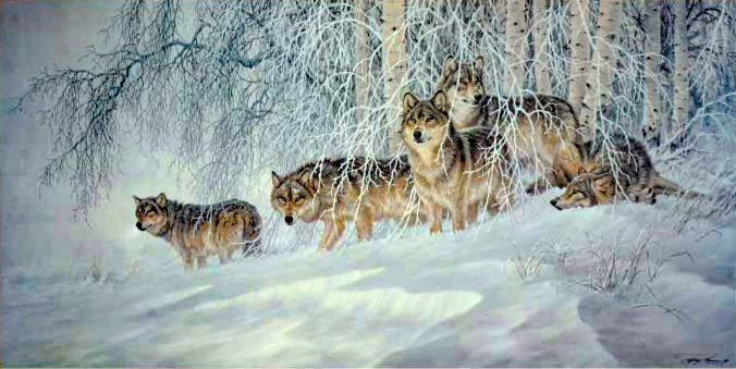 Winters Lace Gray Wolves Larry Fanning Artist Proof Lithograph on Paper Artist Hand Signed and AP Numbered