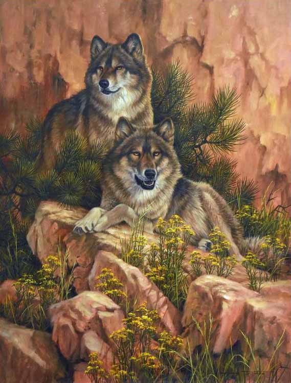 Summer Retreat - Gray Wolves Larry Fanning Artist Proof Giclée on Canvas Artist Hand Signed and AP Numbered