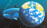 Our Home Too II Dolphins William (Schim) Schimmel Fine Art Serigraph Print Artist Hand Signed and Numbered